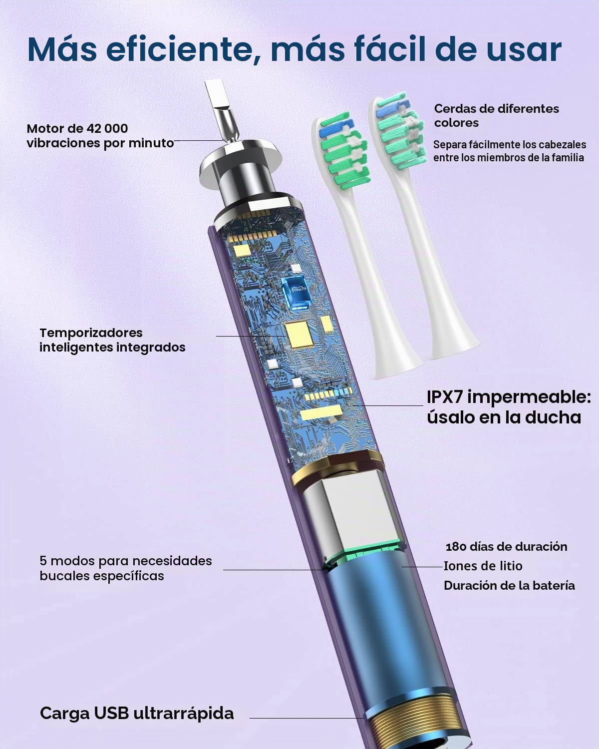 Cepillo de dientes eléctrico para adultos con 6 cabezales de cepillo, cepillo de dientes sónico recargable, batería de larga duración, 4 horas de carga y 180 días de uso, púrpura
