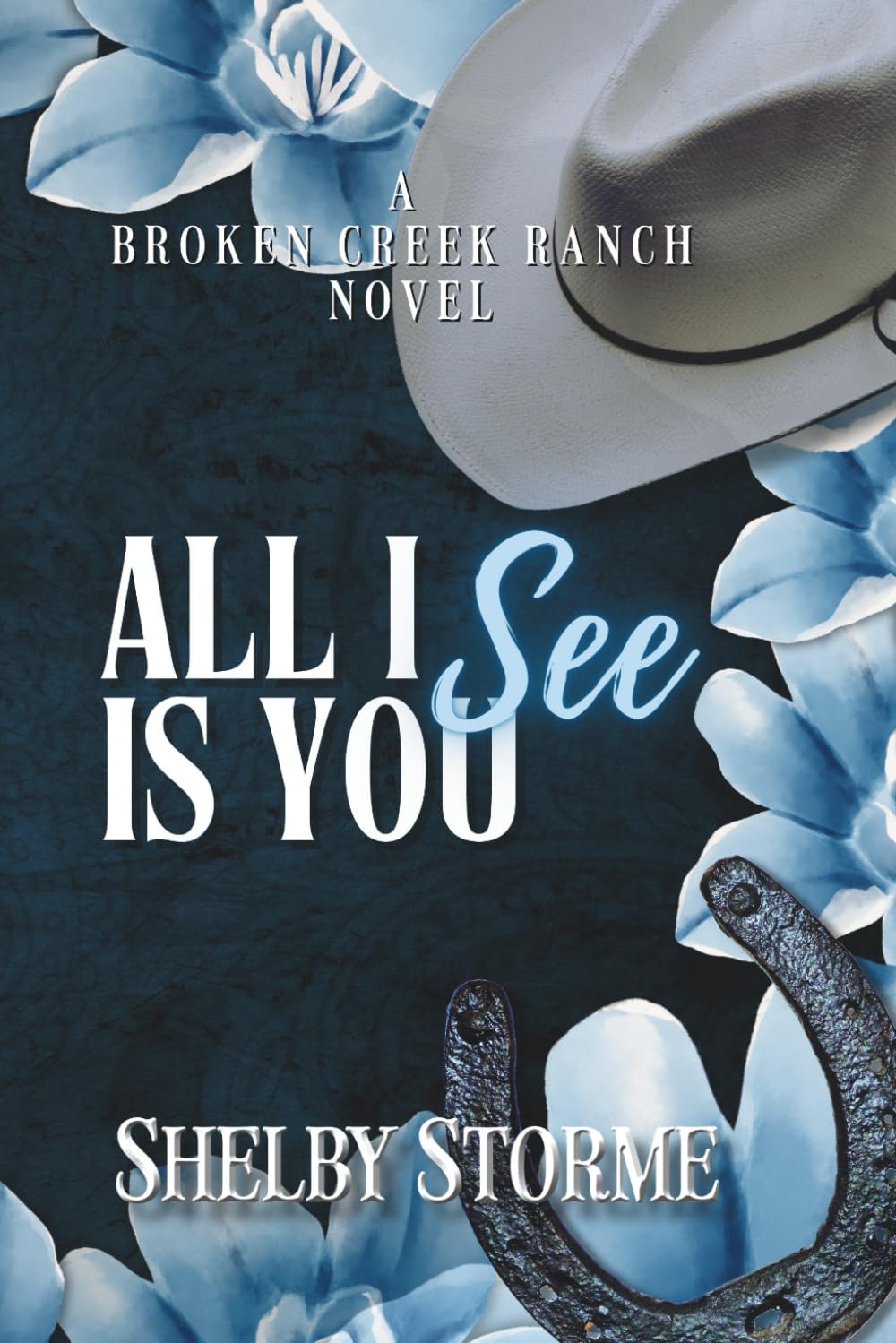 All I See Is You: A Broken Creek Ranch Novel