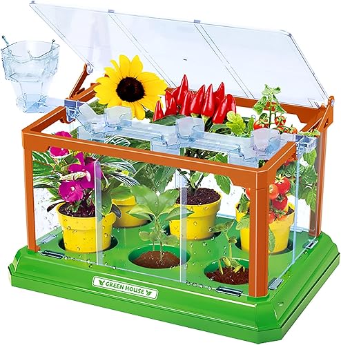 Kit de jardinería para niños, kit de terrario de cultivo de invernadero, juego de cultivo de plantas, descubrimiento, regalo educativo de jardinería