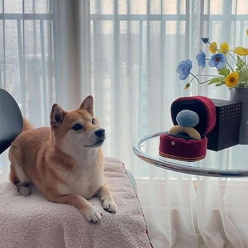 Miniatura 17 de Siskiyou Collar con etiqueta deportiva NCAA