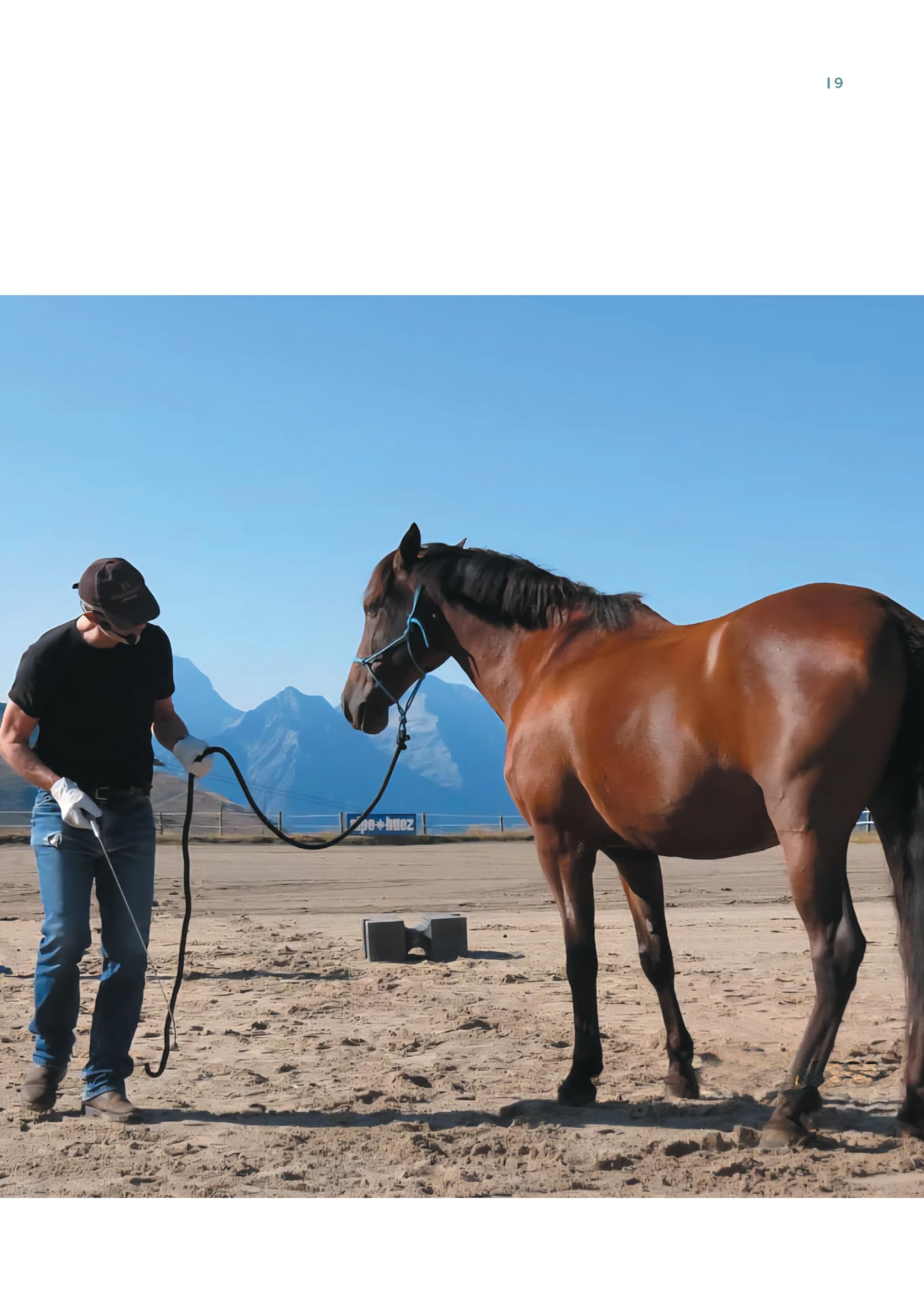 Guide d'équitation éthologique: Les Savoirs 1 et 2 décryptés avec exercices détaillés