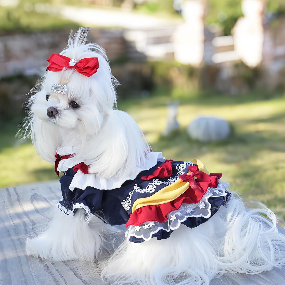 MengYu Small Dog Dress Cat Princess Costumes, Pet Birthday Clothes,Lolita Costume Dress for Puppy and Kitten，Velvet Pet Bodysuit Clothes for Daily，Anniversary，Indoor，Outdoor