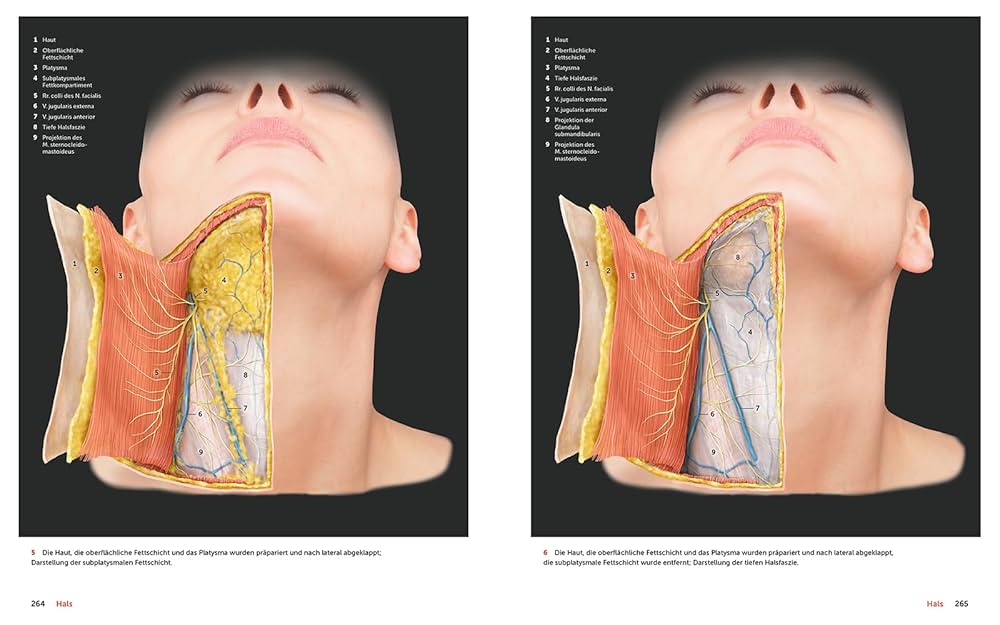 Schichtatlas der Gesichtsanatomie : Wesker, Karl H., Kolster