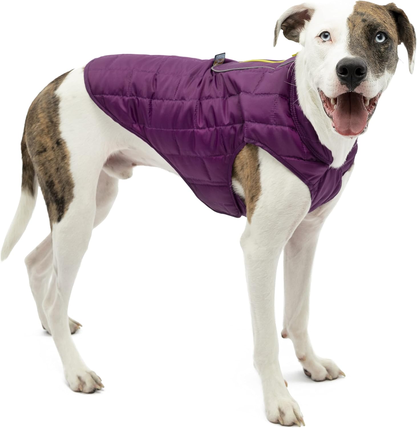 Kurgo Loft Dog Jacket, Reversible Dog Coat, Wear with