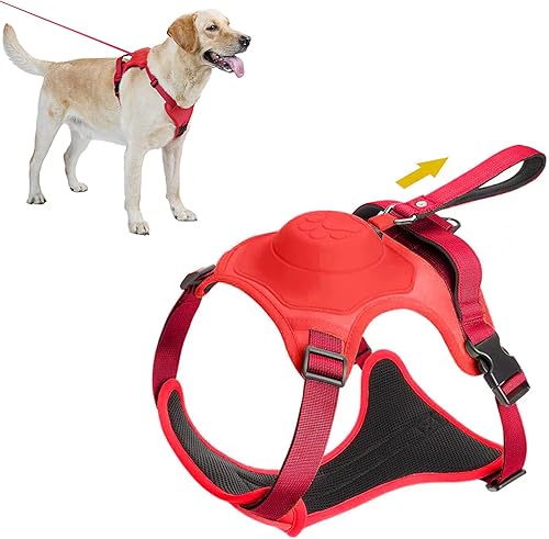 Arnés 2 en 1 para perro, arnés para mascotas sin tirones con correa autoencogible, función de bloqueo automático para evitar que el perro corra