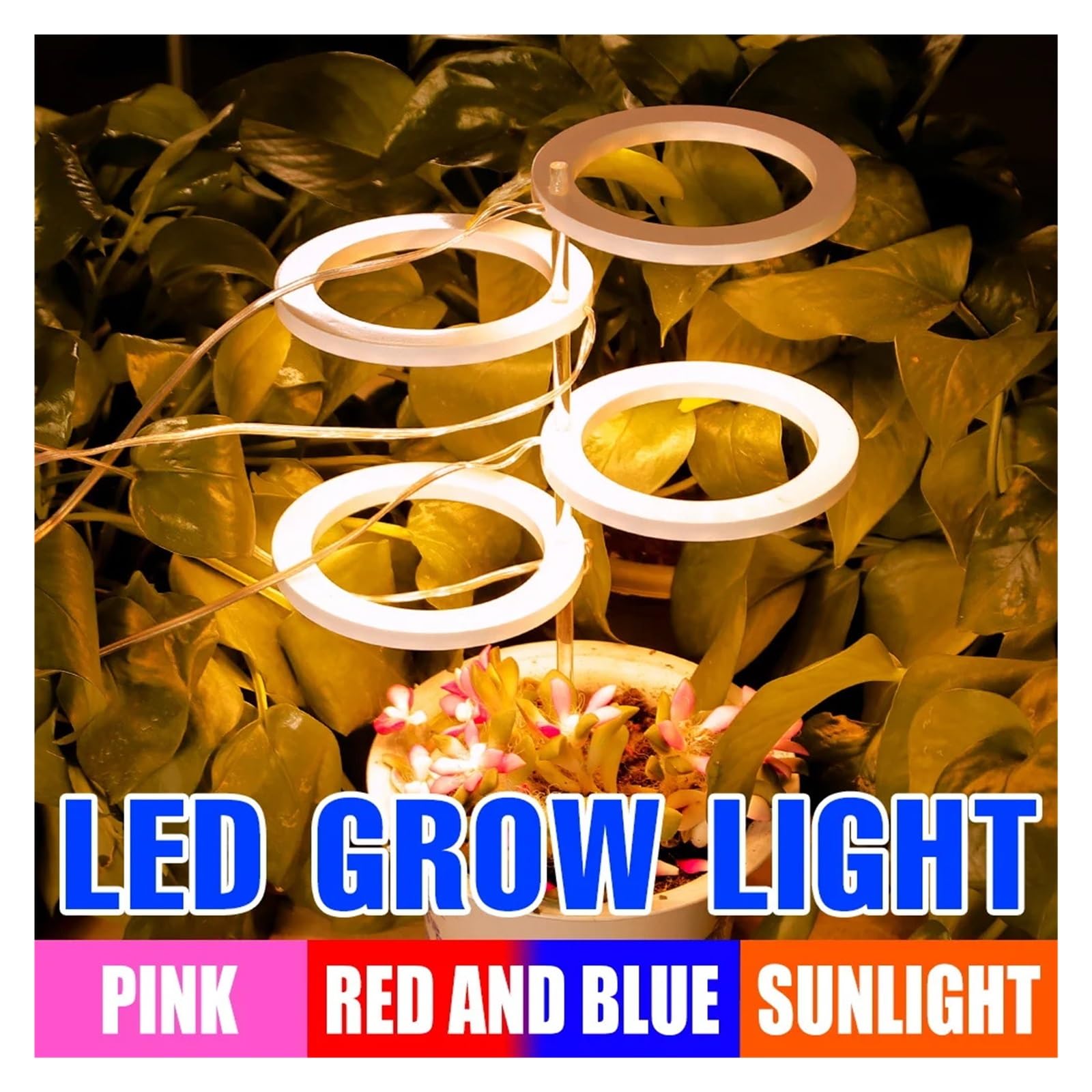 Lampada per Piante, LED Phytolamp Indoor Grow Lights Lampada for Piante a Spettro Completo for la Coltivazione di Semi di Fiori DC5V USB LED Luce di Crescita(Four Heads-RedBlue)