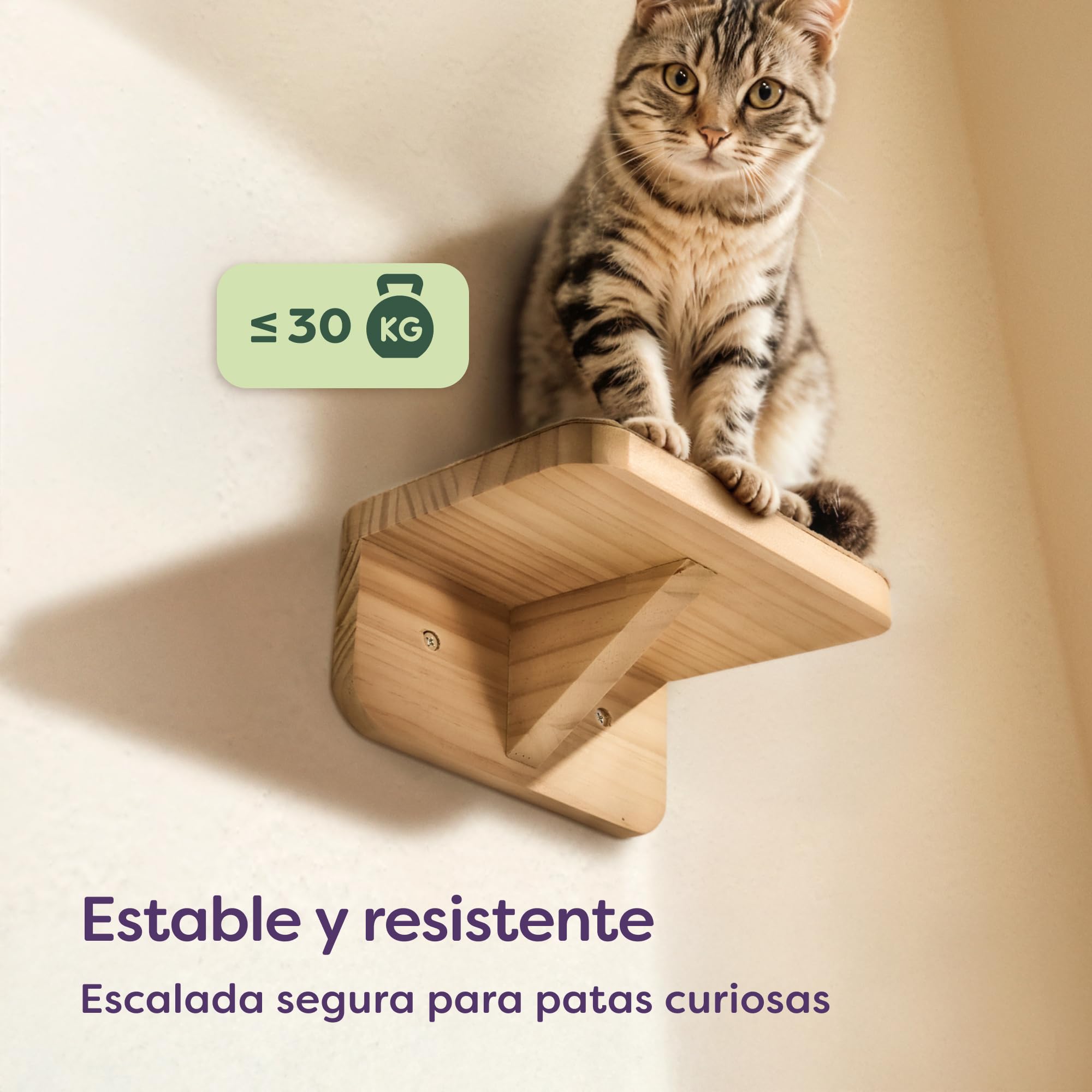 Knupis Estante De Pared para Gatos - 3 Escaleras para Gatos Pared - Madera De Pino Fsc® - Fieltro Antideslizante - Fácil Montaje - hasta 30 Kg (Beige) | Estable hasta 30 kg, no tejido antideslizante, montaje en minutos, madera de pino FSC, muebles de pare