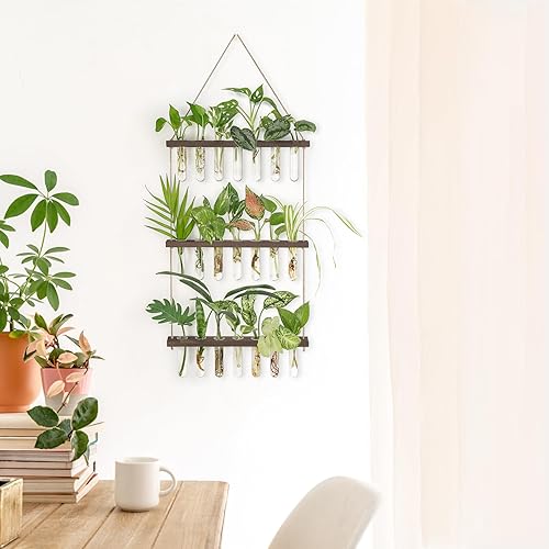 Miniatura 22 de Mkono Tubos de propagación de plantas, terrario colgante de pared de 3 niveles con soporte de madera, mini tubo de ensayo, florero de flores, Marrón
