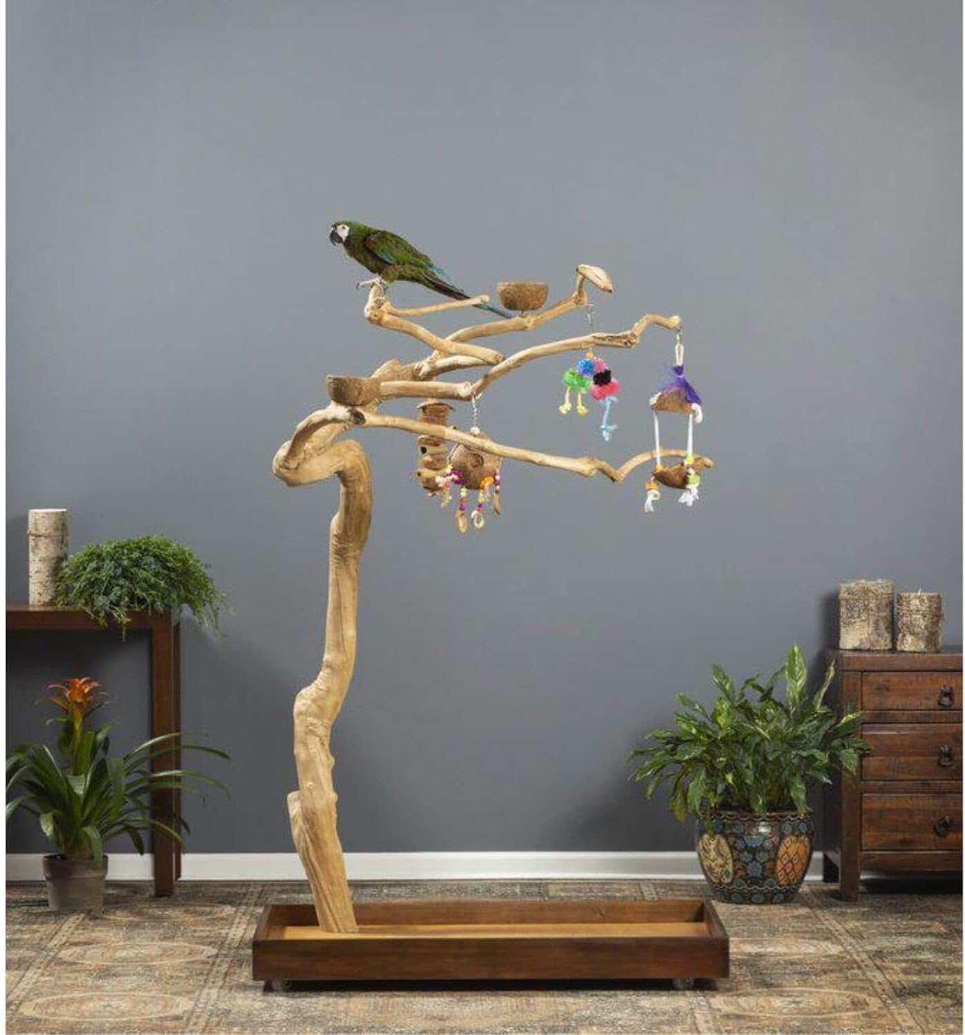 Maykoosh African Adventure CoffeeWood Tree-Style Parrot Play Stand with Natural Design, Durable Perches, Feeding Bowls, and Spacious Activity Area for Birds