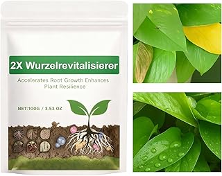 植物用発根パウダー,100g 有機植物成長栄養剤,挿し木 の 根 成長 促進 | 庭 木 蘭 土 水 の 発根 用 促進