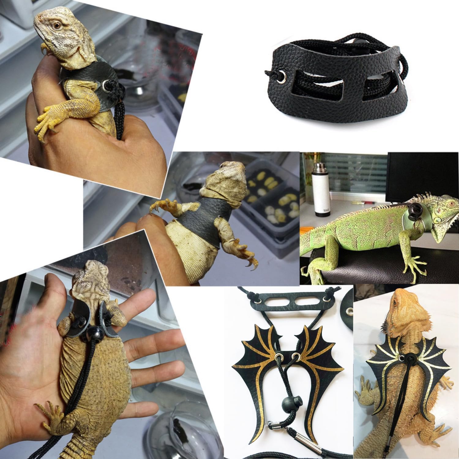 5 Pieces Bearded Dragon Accessories Toy Set Bearded