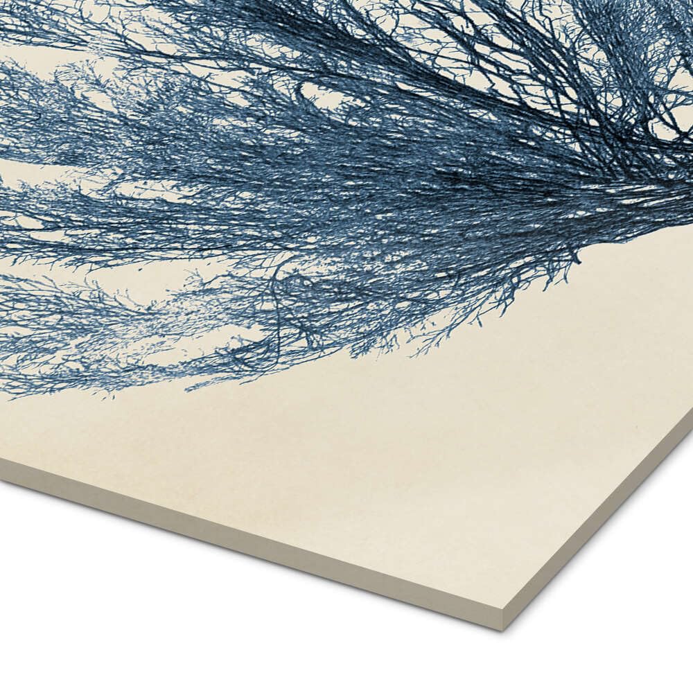 Posterlounge Corail indigo V Tableau en verre acrylique