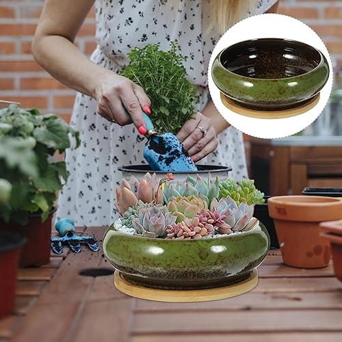 Miniatura 9 de GANAZONO Macetas suculentas para suculentas con drenaje de cerámica para bonsái con bandejas de bambú, macetas redondas poco profundas para plantas