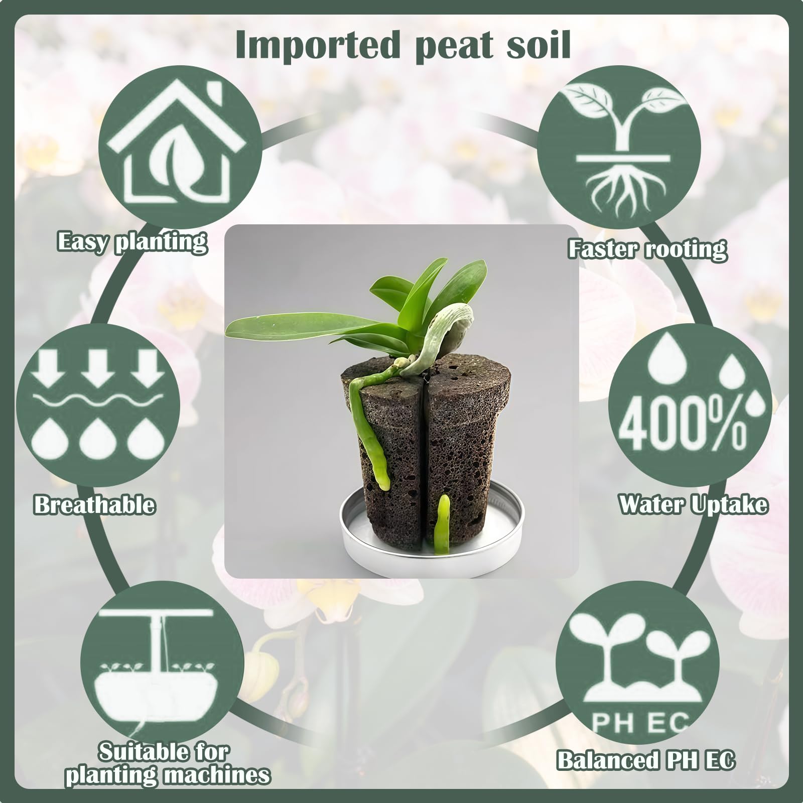 Premium Substrat pour Orchidées | Mélange Aéré et Drainant pour des Racines Saines | Idéal pour Le Rempotage des Phalaenopsis et Dendrobium (⌀9,20PCS)