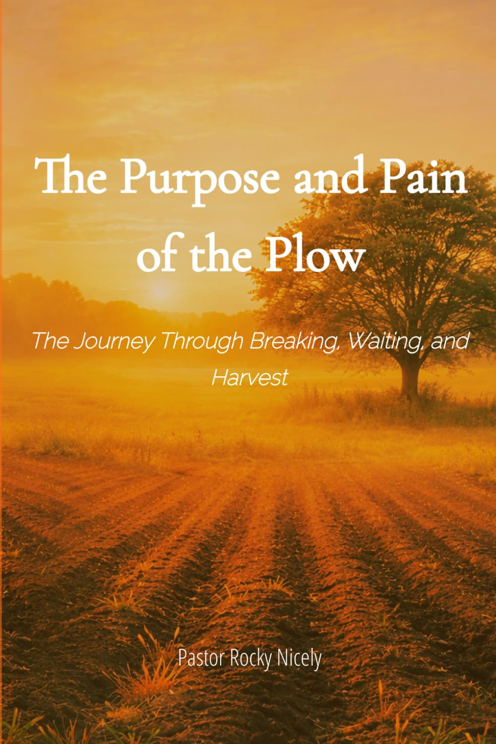 The Purpose and Pain of the Plow: A Journey Through Breaking, Waiting, and Harvest