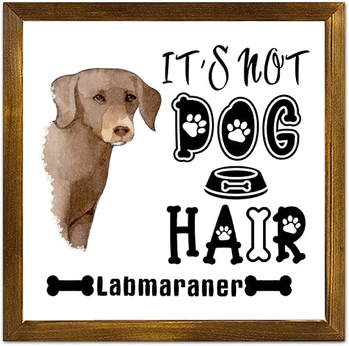Vista 158 de Letrero de madera con texto en inglés «It's Not Dog Hair» («It's Not Dog Hair» American Bully Dog Dog), regalo decorativo para la pared del hogar
