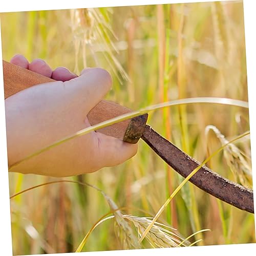 Miniatura 9 de Mango de madera de repuesto para cucharas multiuso, ergonómica, ligera, para estiércol y herramientas de limpieza