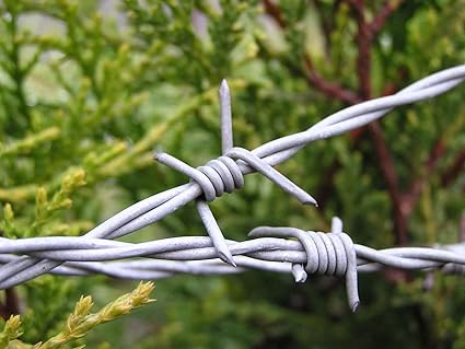 Barbed Metal Wire for Fencing with Free G.I. Wire and Safety Gloves, Barbed Wire for Fencing Kanta taar for Fence Poles Trees Antennae Wire with Hook(14 Gauge Wire) (1000 FEET)