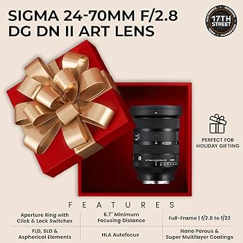 Amazon.com : Sigma 24-70mm f2.8 DG DN II Art Lens Sony E, Full
