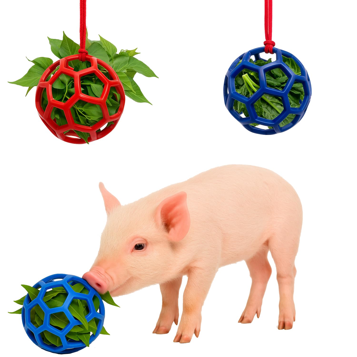 2Pcs Pig Enrichment Toys, Treat Ball Toy for Mini Pigs and Farm, Hanging Chew Ball Enrichment Toy with Rope for Pigs to Play with