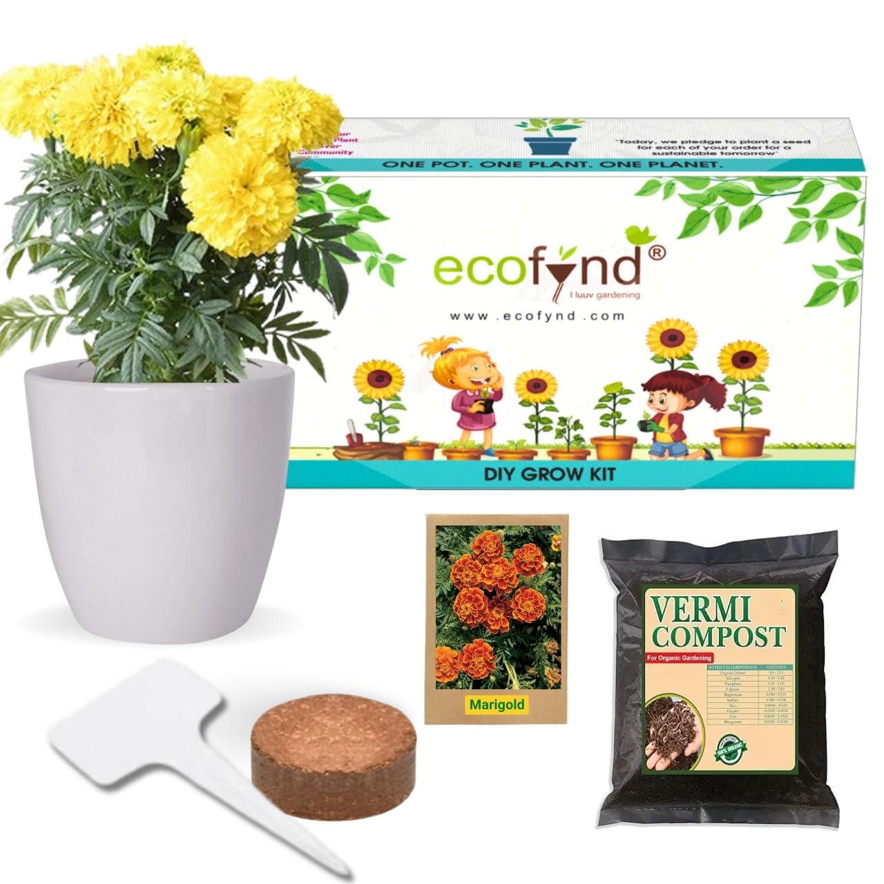 ecofynd Grow Kit of Marigold Flower || DIY Easy Grow it Yourself Gardening Kit for Home and Garden || A Complete Beginner Gardeners Gardening Set || Best Return Gift For Kids Birthday Party (B0D37QP9MY) Amazon Price History, Amazon Price Tracker