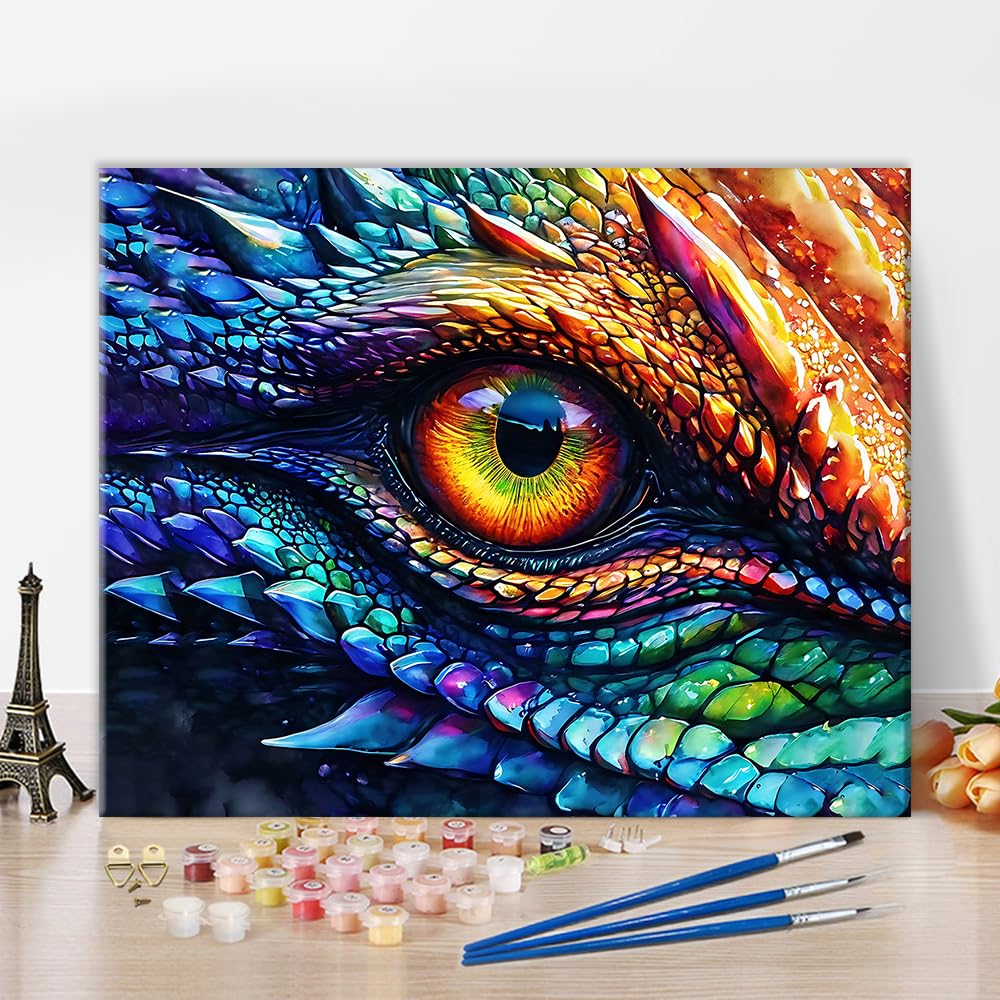 Amazon.com: TUMOVO DIY Paint by Number for Adults Dragon Eye and