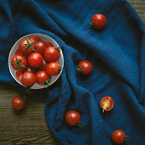 Miniatura 6 de CoaGu Contenedor de café de 16 onzas Contenedor hermético de acero inoxidable 188 sin BPA, apto para lavavajillas e ideal para almacenamiento de café