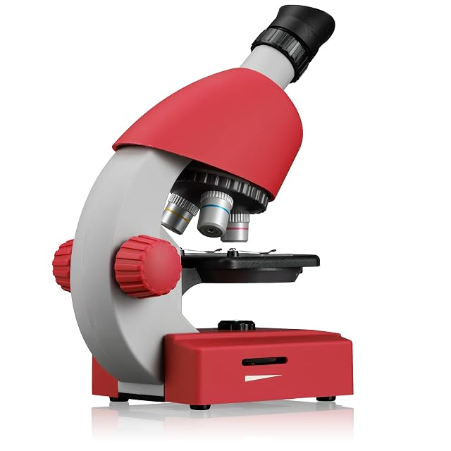 Foto 5 de 8 de Bresser 8851300E8G000 microscopio (40x-640x) roja