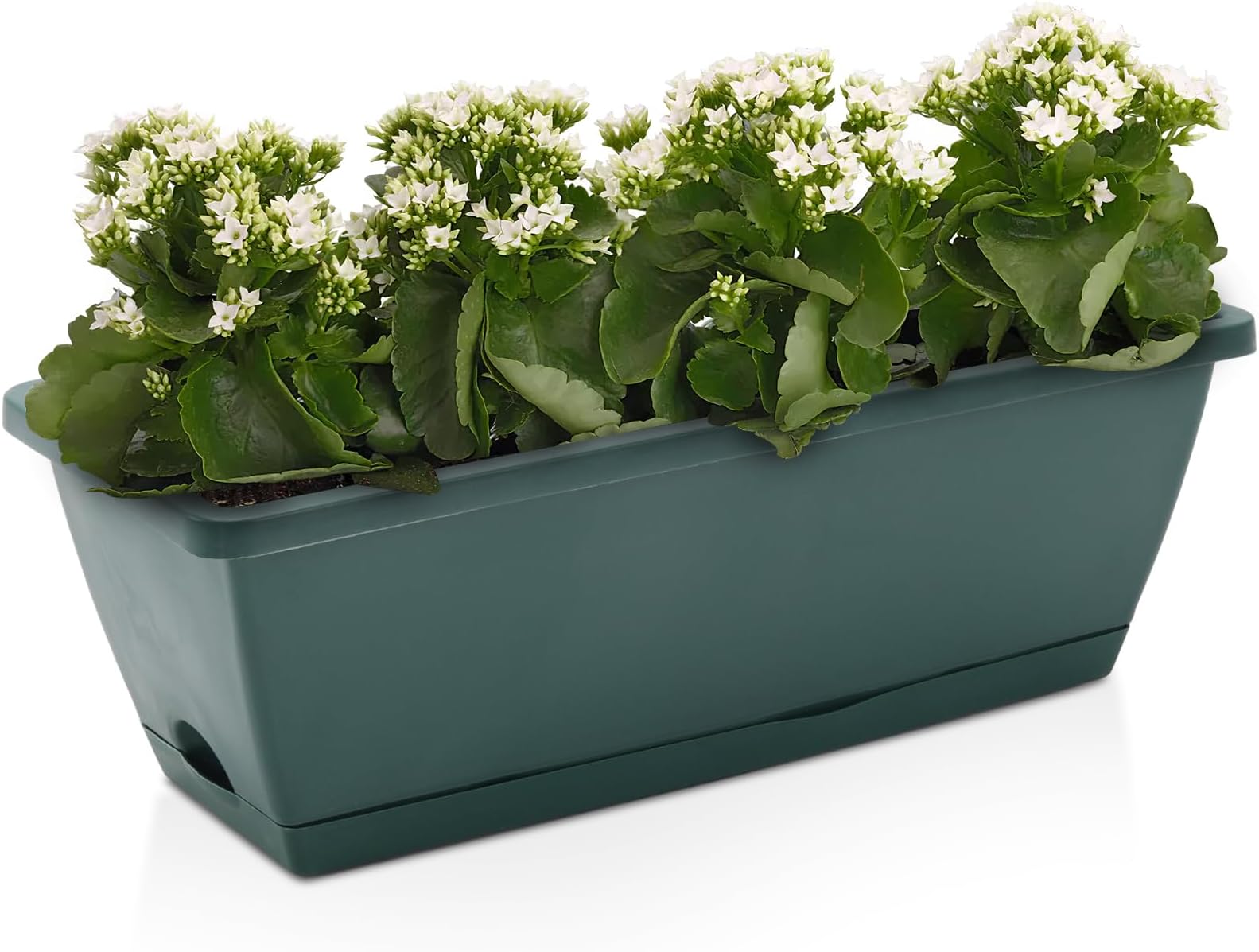 5 Pcs Large Flower Planter Outdoor Plastic Vegetable Plant Pot With Drainage Holes & Tray, Rectangle Trough Planters For Succulent & Herbs, Window Long Pots For Garden (Green 49.5*19*15.7Cm)