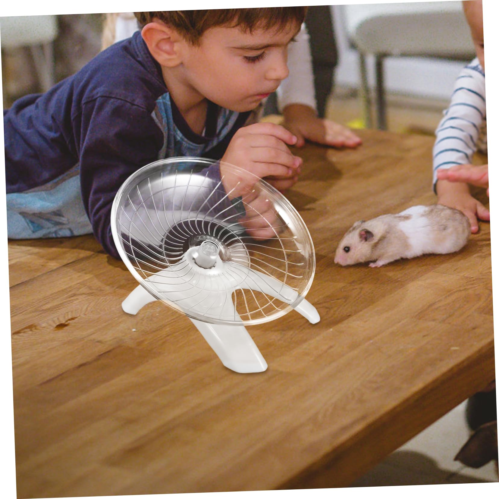 BESPORTBLE 3piezas Rueda De Ejercicio Silenciosa para Hámster Rueda Interactiva para Roedores como Chinchillas y Jerbos Juguete De Actividad con Base para Mascotas Pequeñas