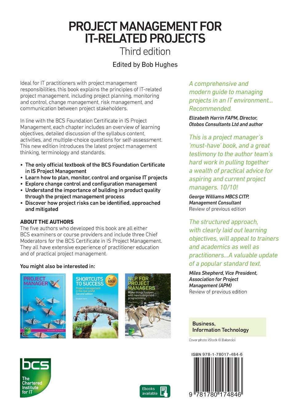 Project Management for IT-Related Projects: 3rd edition: Third edition