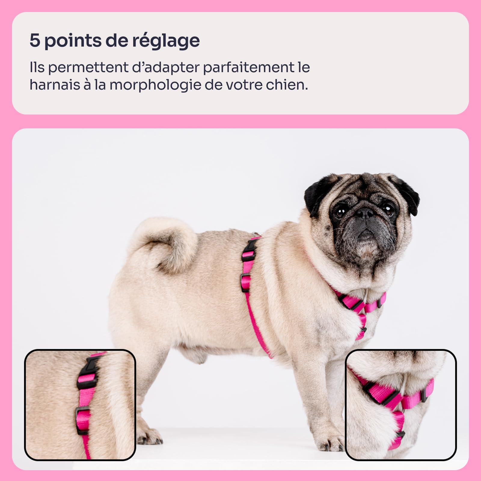 Chaba Guard Harnais pour Petit Chien, Anti Traction, Réglable en 5 Points, Empêchant la Traction et l'étouffement, Confortable et léger, Harnais de Poitrine Classique, Harnet Chien, Taille M, Fusion