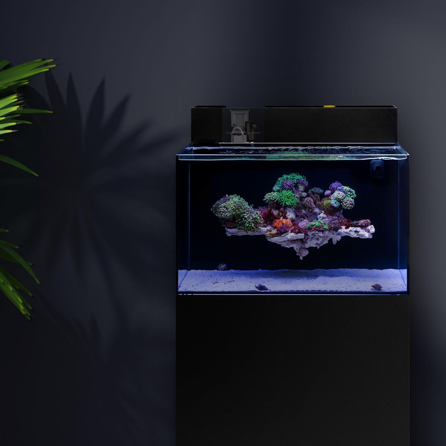 Ultum Nature Systems Mini Protein Skimmer - Rimless Aquarium Protein Skimmer - Drop-in Design Saltwater Aquarium Skimmer - Protein Skimmers for All-In-One Saltwater Aquarium Tanks