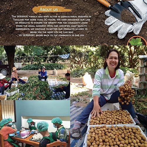 Miniatura 8 de WANMAI29 Bolsas de té de cártamo, 30 unidades, bebida natural sin azúcar, apoya dietas veganas y cetogénicas, sin cafeína ni aditivos duros, hierba