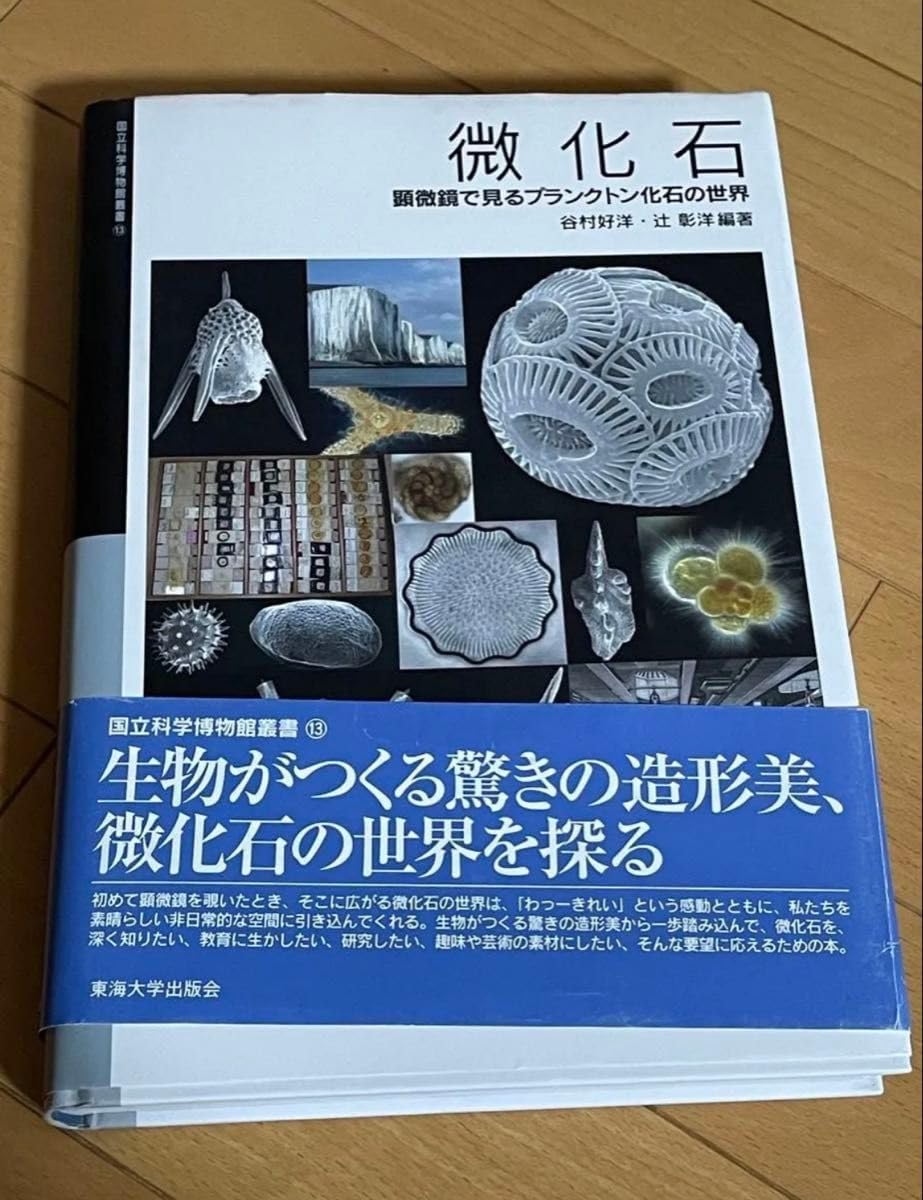 微化石 顕微鏡で見るプランクトン化石の世界 Amazon.co.jp: 微化石: 顕微鏡で見るプランクトン化石の世界