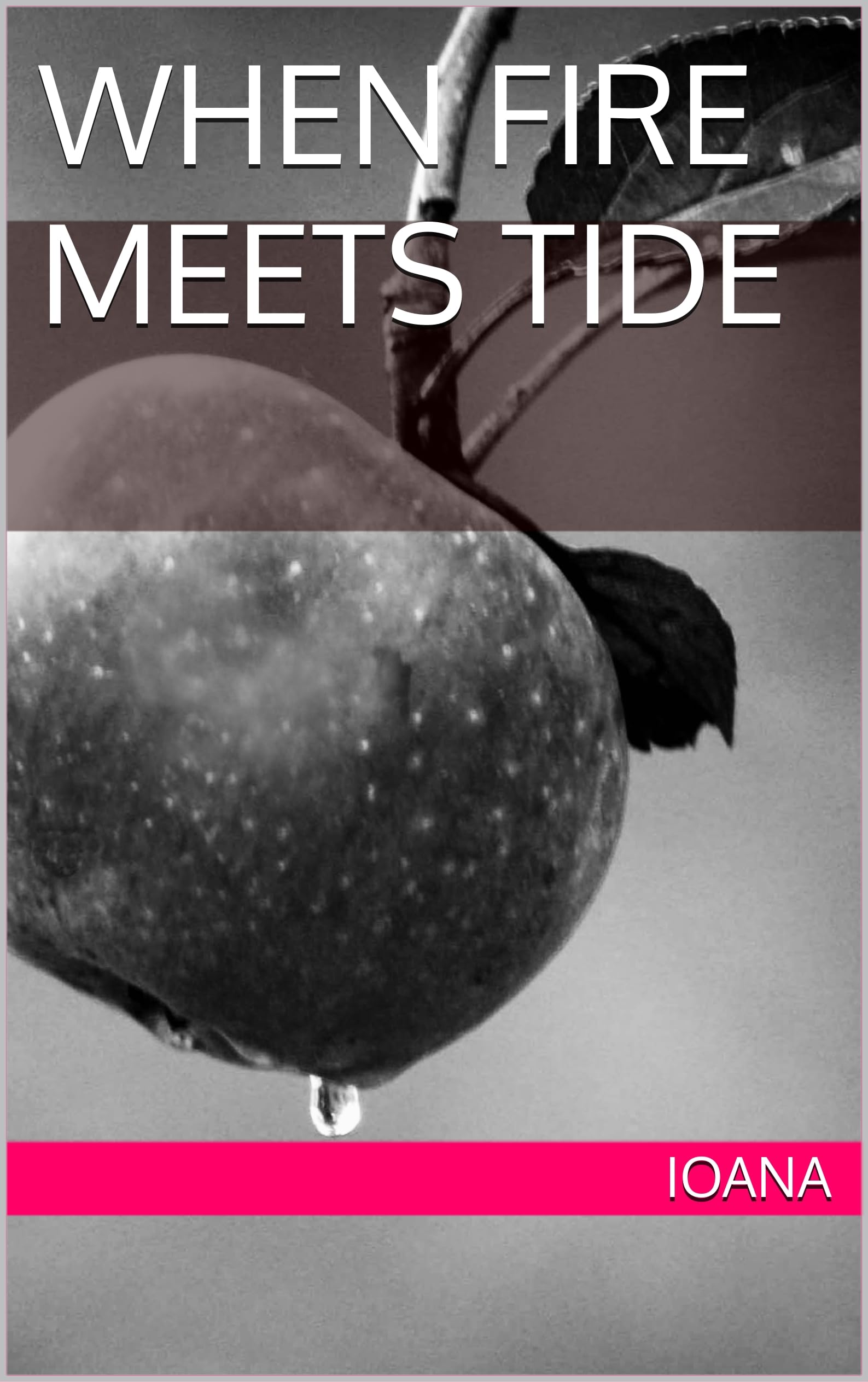 When Fire Meets Tide (English Edition)
