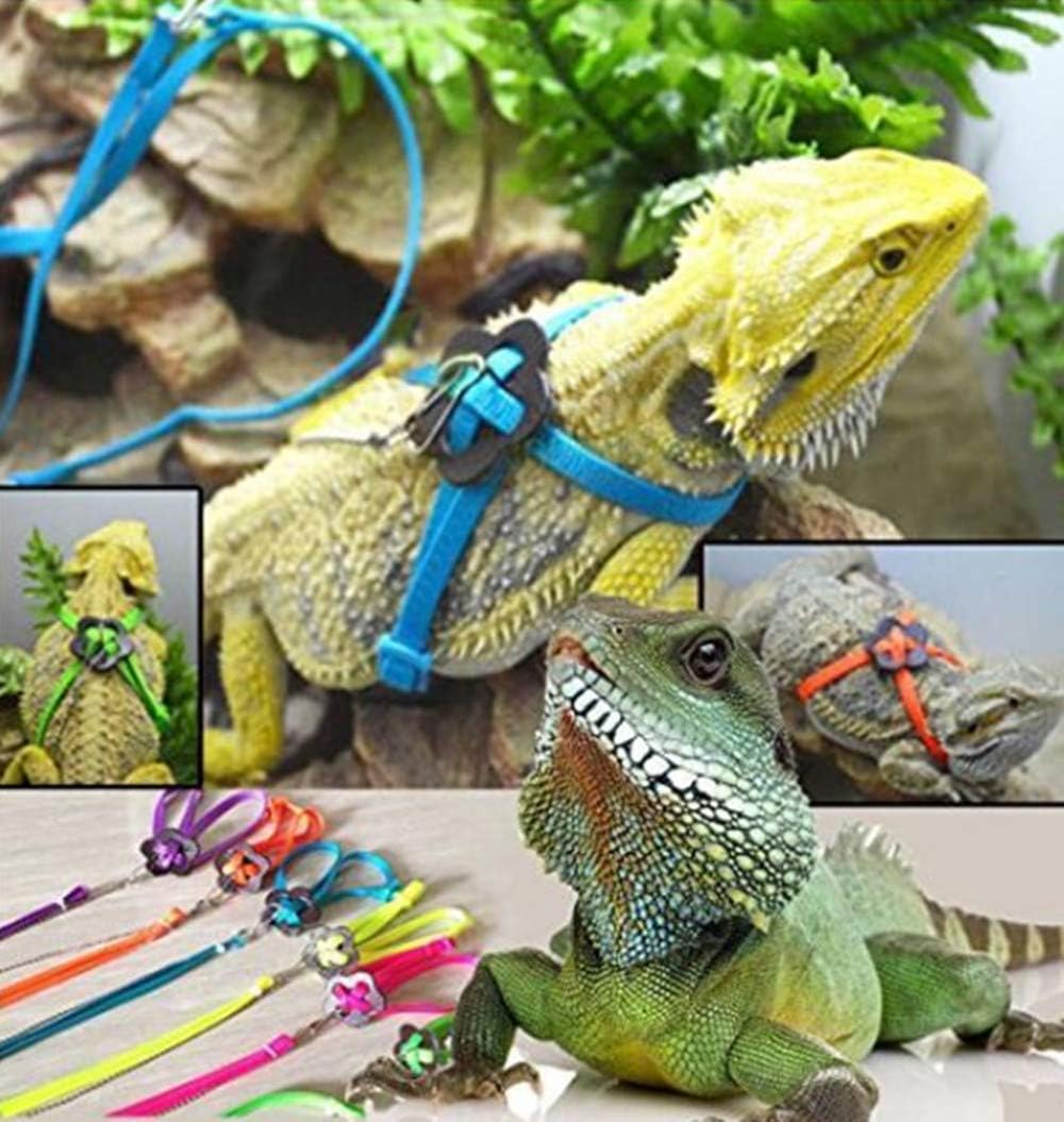 AMLPET Bearded Dragon Leash, Adjustable Lizard Harness 100% Soft Leather 59 inch Blue 2 Pack