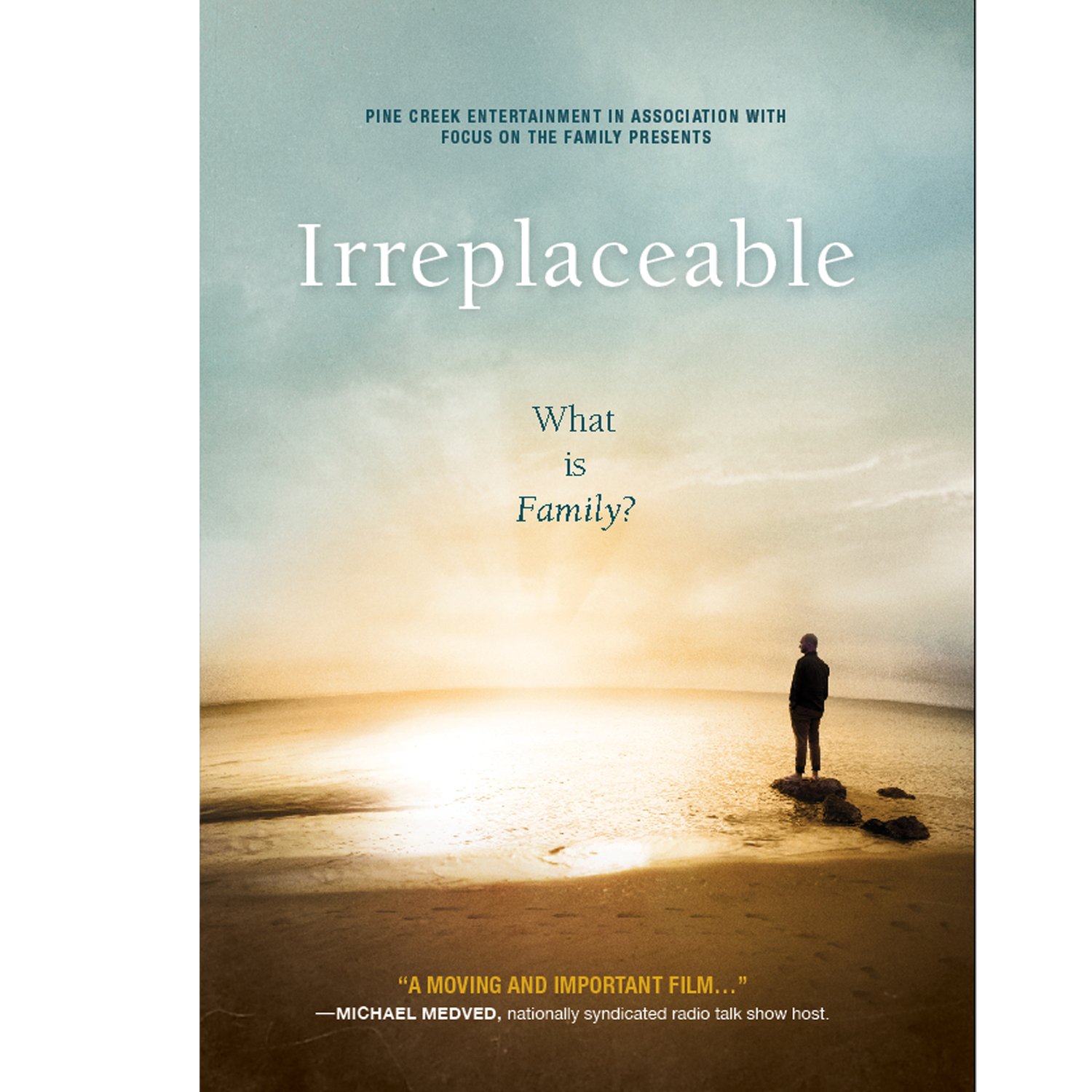 Película Irreplaceable en DVD versión importada de Alemania para cinéfilos