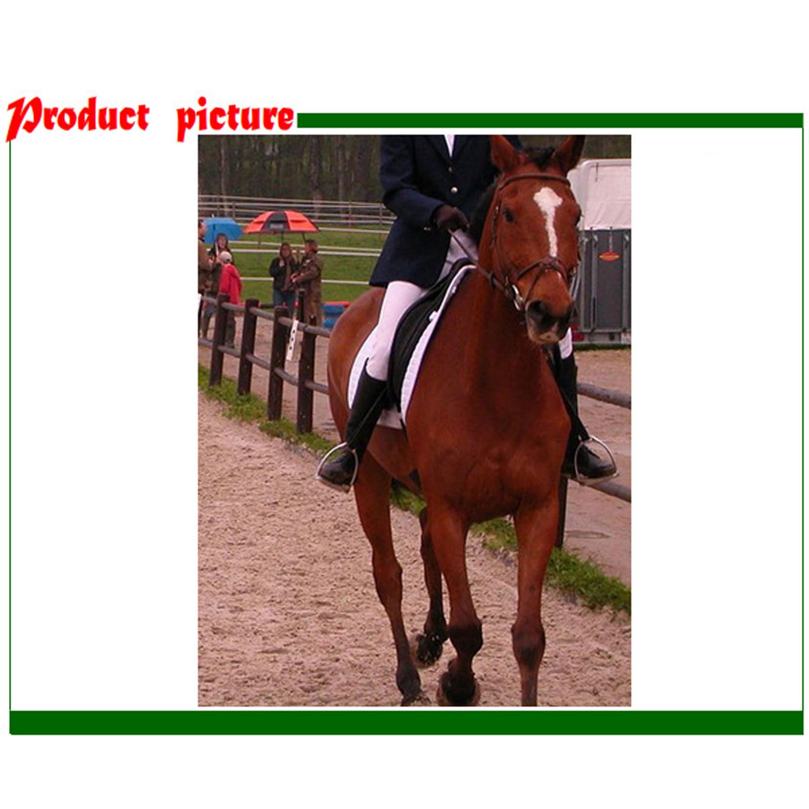 2 Piezas Estribo de Caballo Estribos ecuestres de Acero Inoxidable,cómodos estribos de Apoyo Estribos Flexibles Ligeros y Anchos estribos ecuestres,para Amantes de los Caballos