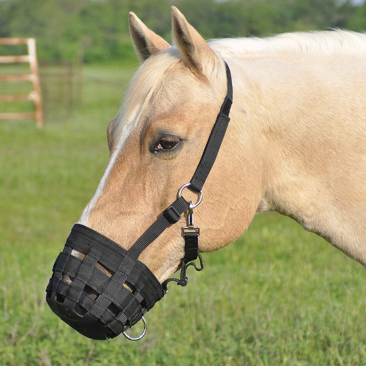 CASHEL GRAZING Muzzle Halter - Pony (GMH-P)