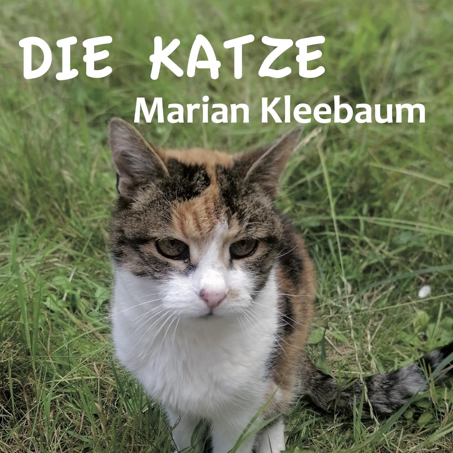 Die Katze