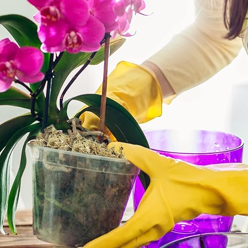 Miniatura 13 de Halatool Musgo natural de esfagno de 4.4 libras para plantas, 85 cuartos de galón, turba de primera calidad, secado con musgo de fibra larga, musgo