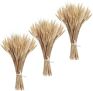 300PCS Dried Flowers Dried Wheat Stalks for Decor 16" Dry Flowers Dried Flowers Arrangement for Home Wedding Party Table Centerpieces DIY Design Farmhouse Decor
