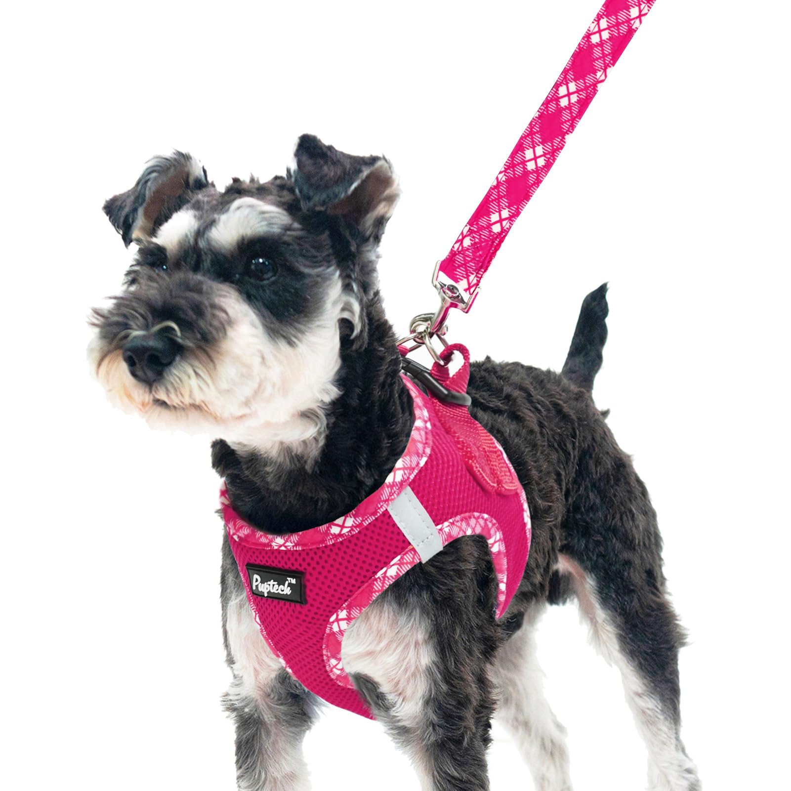 PUPTECK Dog Harness and Leash Set for Small Medium Dogs No Pull Step-in Soft Mesh Puppy Cat Vest Harnesses Reflective at Night, Fuchsia, S
