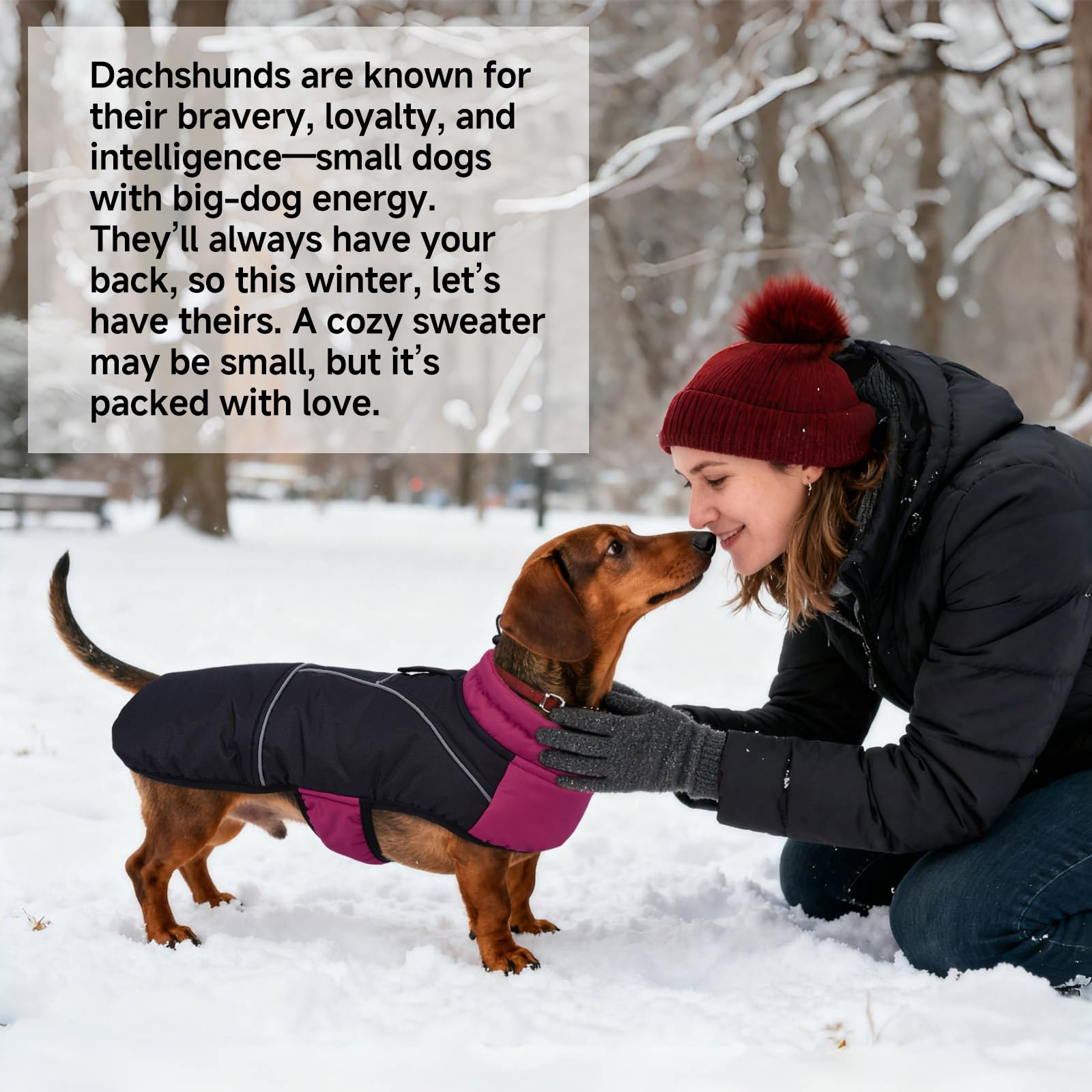 DORA BRIDAL - Veste d'hiver pour chien avec doublure en polaire, veste chaude avec bandes réfléchissantes, veste imperméable réglable pour animal de compagnie, taille XL