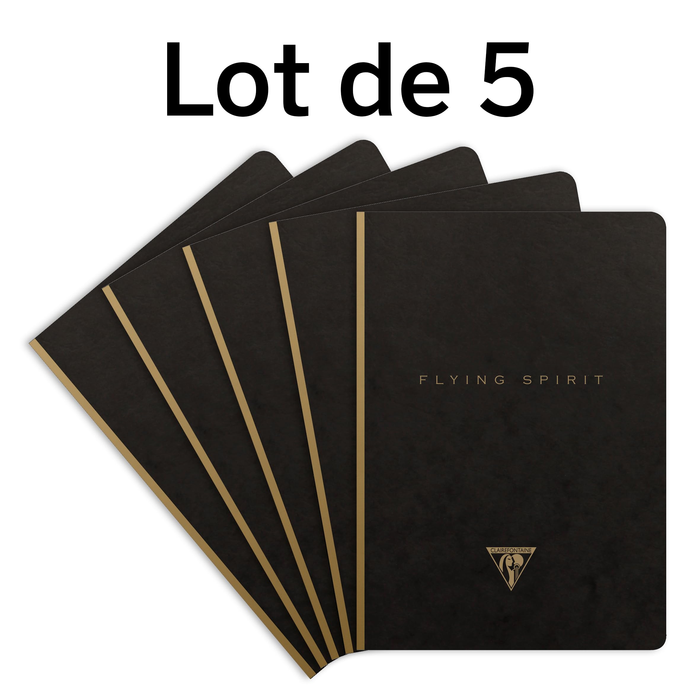 Clairefontaine 102546C - Lot 5 Carnets Brochés Flying Spirit Noir A5 192p L
