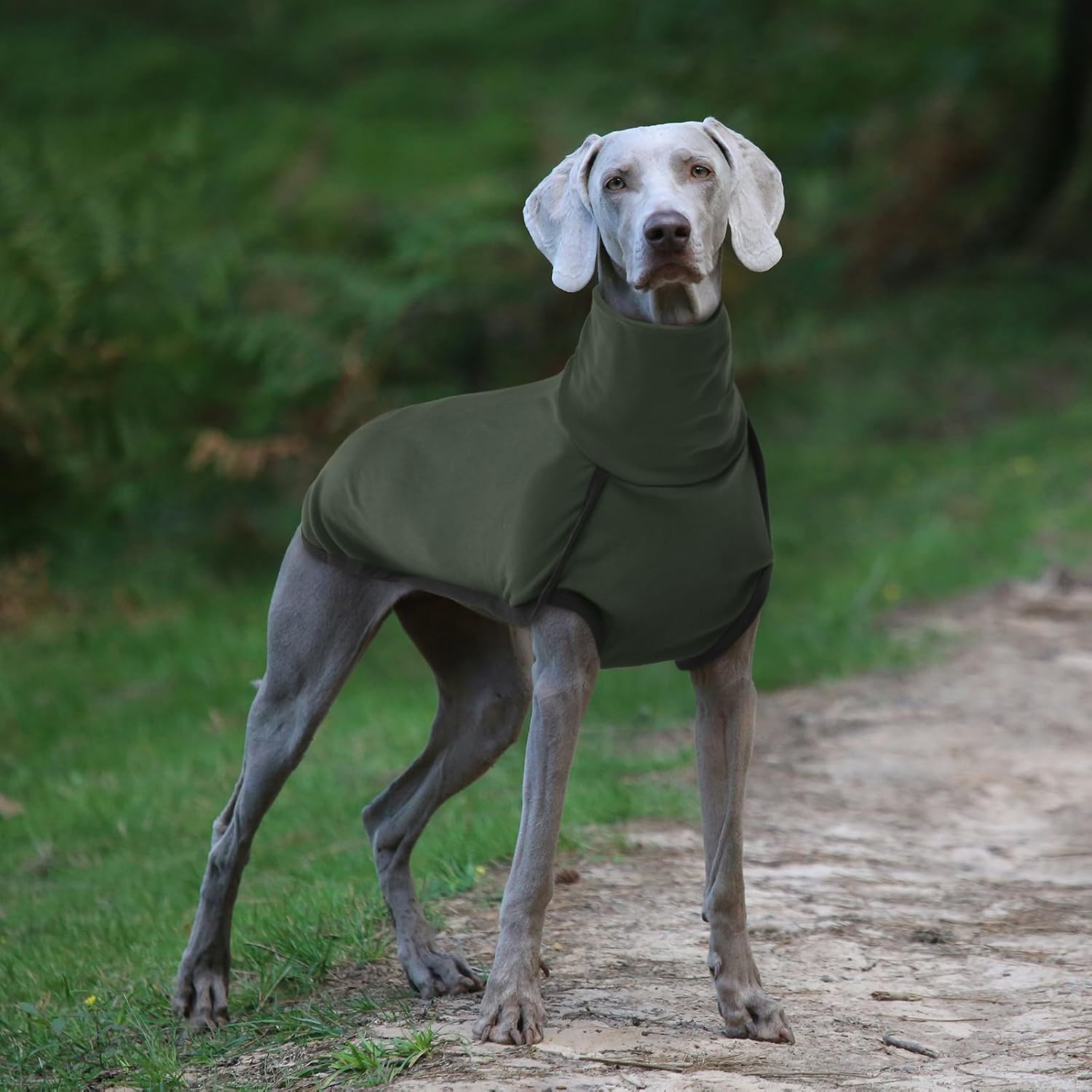 ROZKITCH Dog Winter Coat Soft Pullover Pajamas, Pet Windproof Warm Cold Weather Jacket Vest Cozy Jumpsuit Apparel Outfit Clothes for Walking Hiking Travel Sleep Green XL