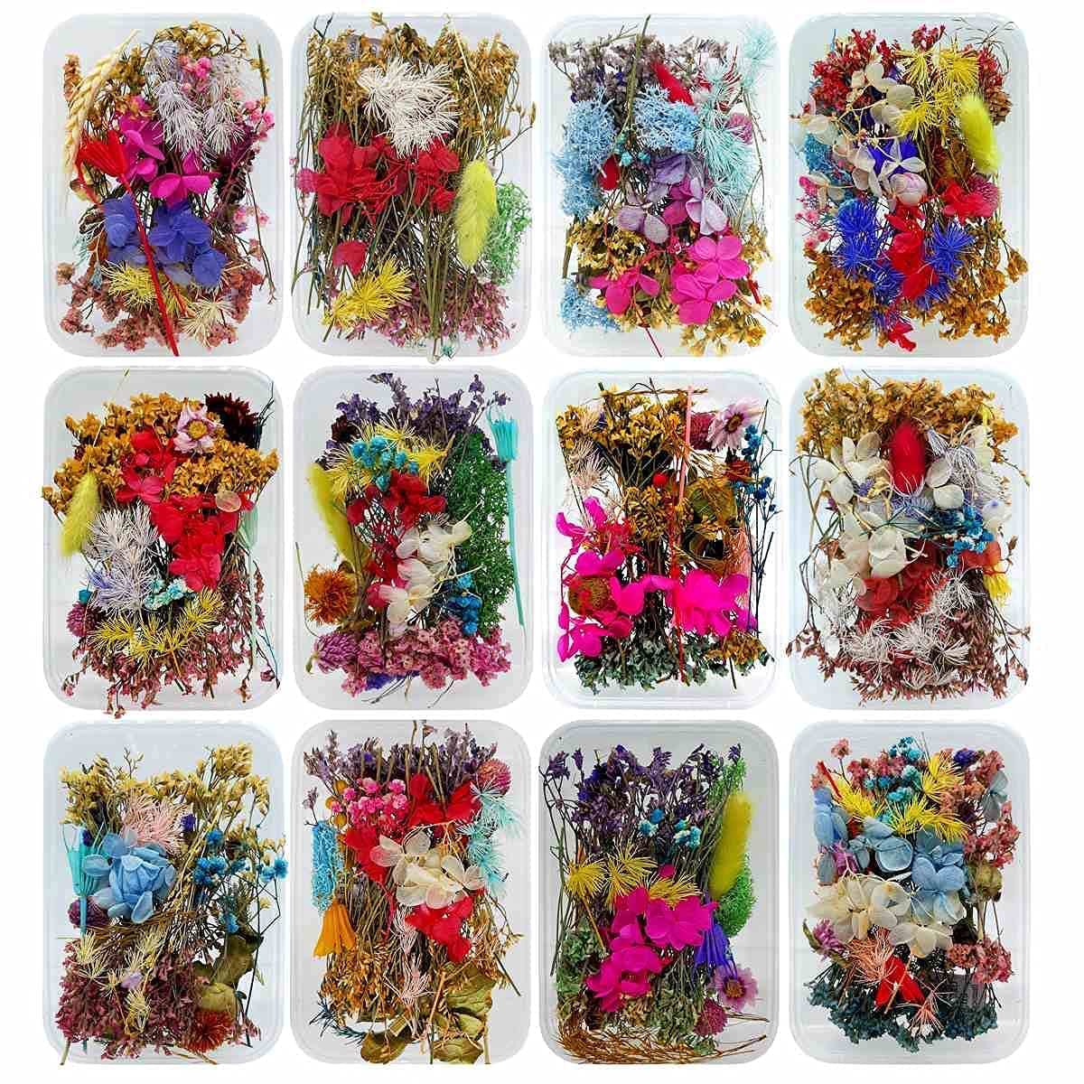 Prokart Real Natural Dried Flowers for Art Craft Mixed Soap, Candle, Scrapbook, DIY, Resin Tray Jewellery, Pendant- [Design May Vary, Random Box, Multicolour] 1box-image-18