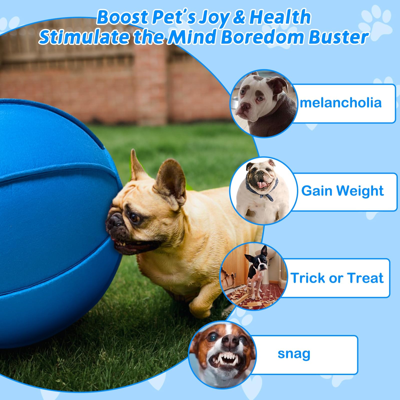 Pet Toy Petsmart Jolly Ball Jolly Pets Big Ball Dog Toy JOLLY PETS