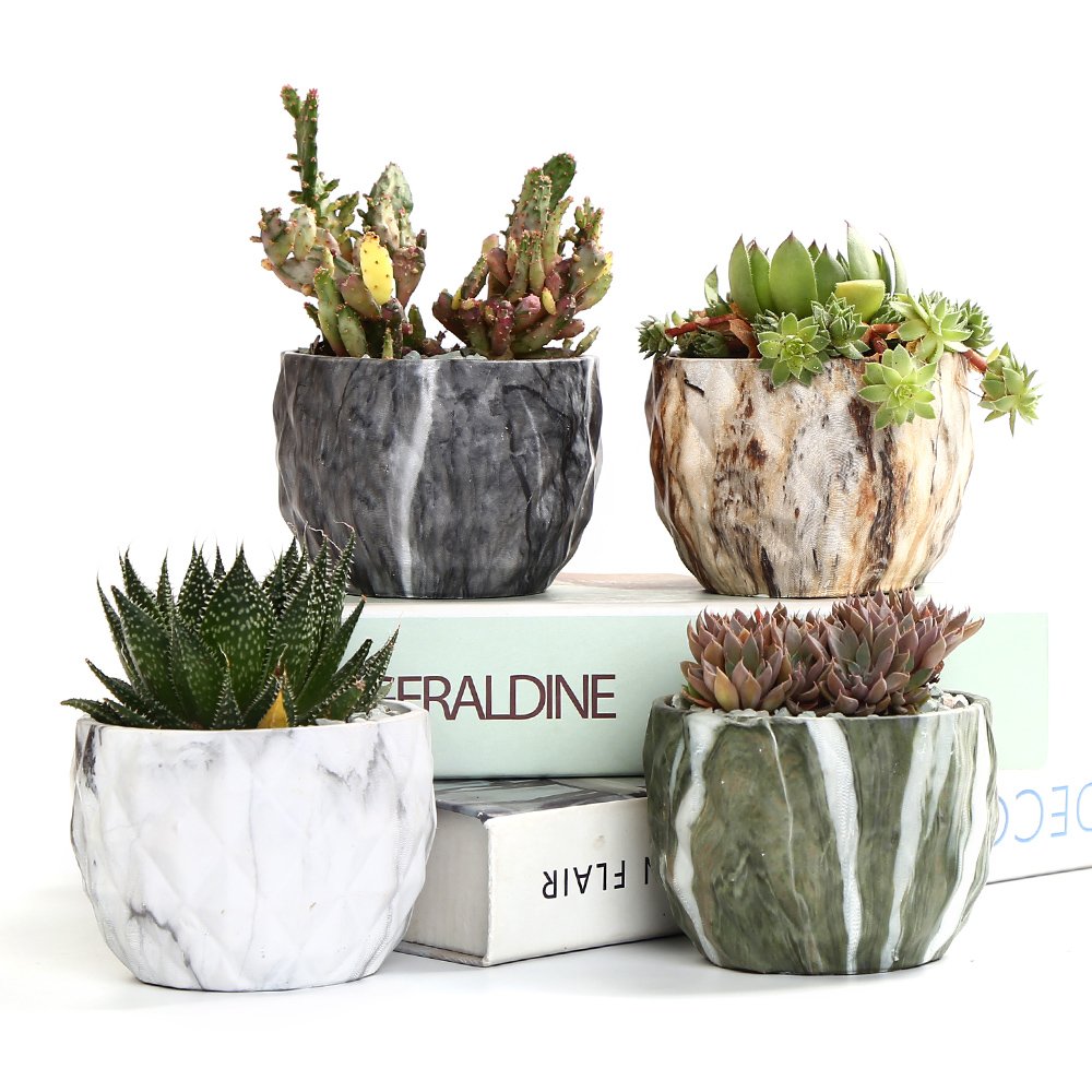 Haofy Vasi Per Succulente In Legno – Fioriera A Forma Di Cactus, Micro Paesaggio, 18,9x13x6 Cm